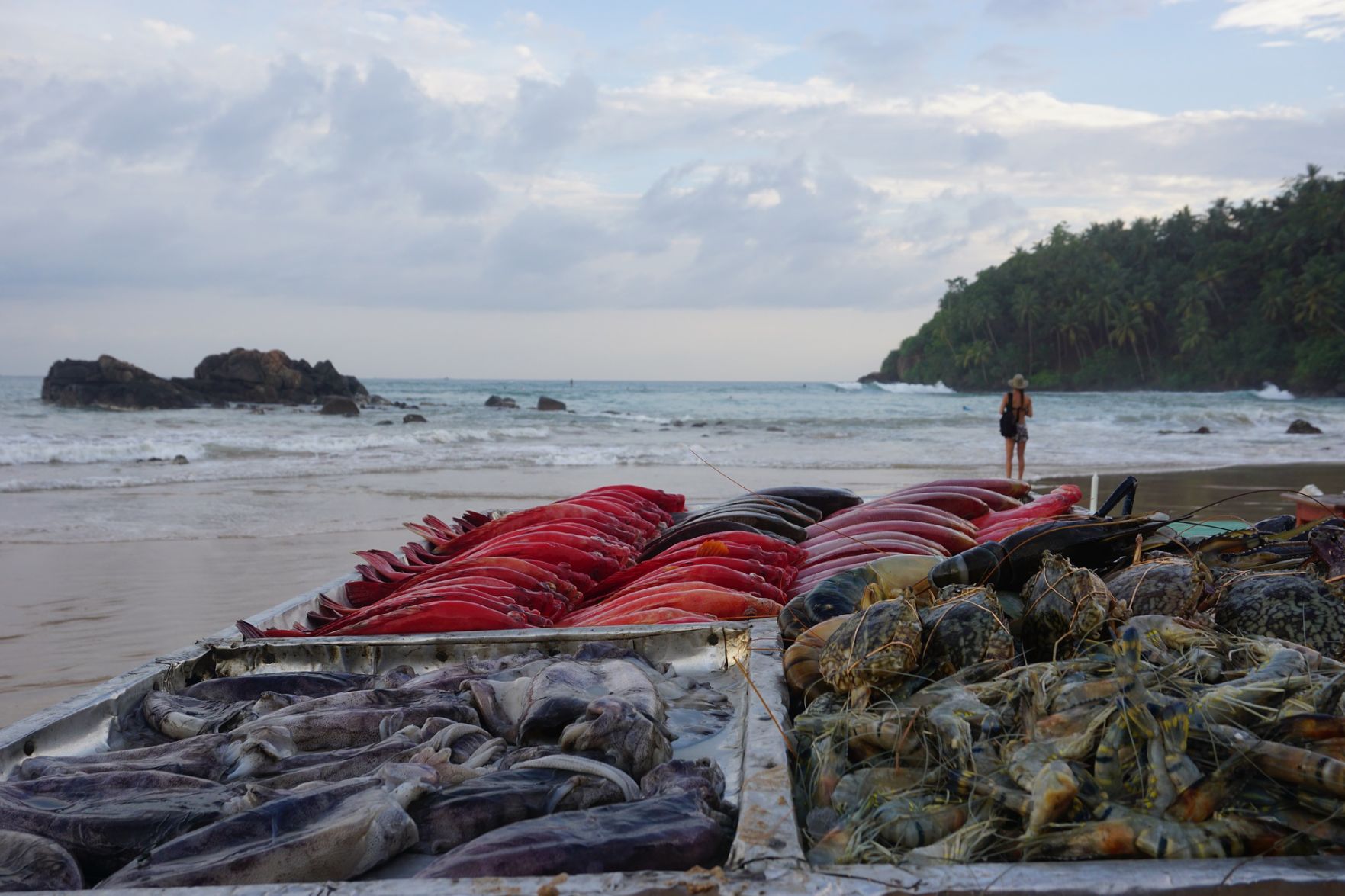 Mirissa, Sri Lanka